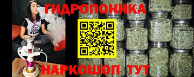 гидропоника Краснознаменск