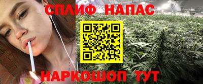 гидропоника Краснознаменск