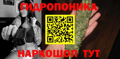 гидропоника Краснознаменск