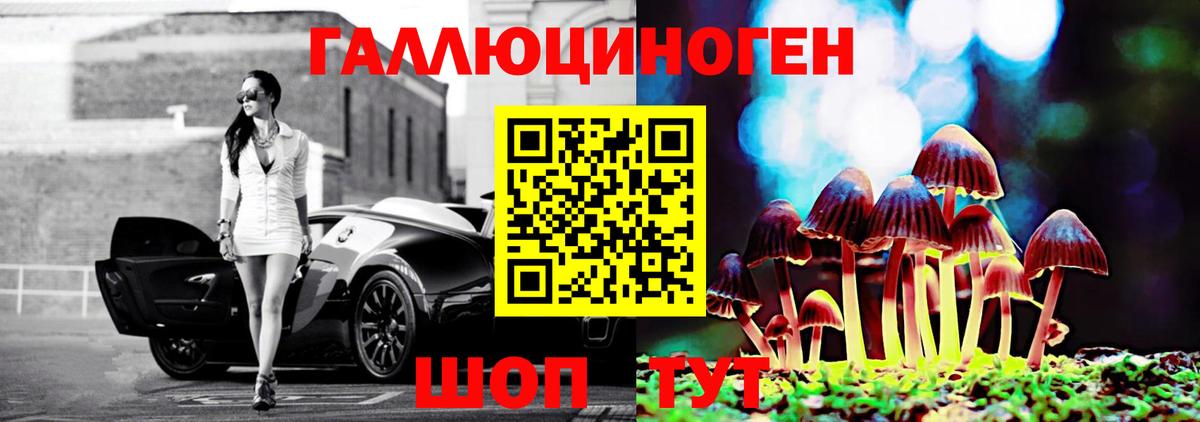 Псилоцибиновые грибы GOLDEN TEACHER Златоуст